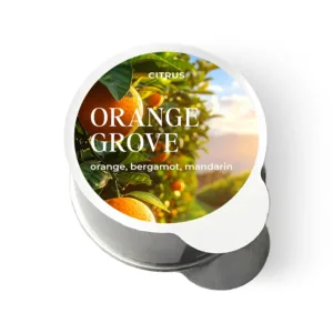 Orange Grove