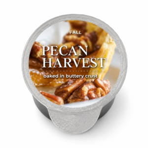 Pecan Harvest